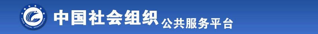 操b视频网战全国社会组织信息查询